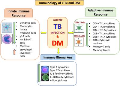 Impact of diabetes mellitus on immunity to latent tuberculosis infection